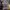 Japanese brand Casual Maxi dress Wanita multicolor photo 3