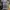 Japanese brand Casual Maxi dress Wanita multicolor photo 7