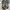 SALOMON XT-6 GORE TEX photo 5