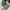 SALOMON XT-6 GORE TEX photo 6