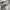 SALOMON XT-6 GORE TEX photo 4