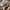 Babyliss big hair dual hot air styler AS950E (Preloved, Masi photo 1