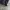 Dr. Martens 2976 chelsea boots black photo 2