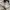 NEW BALANCE 1906R photo 6
