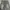 Y2K BAGGY JEANS GREN WASHED photo 6
