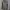 Burberry longsleve photo 1