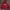 Japanese brand Vintage Casual Hoody Pria red photo 1