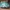 Nike x Diamond Supply Co. Dunk Sb High Tiffany photo 7