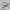 Adidas Questar 3 photo 1