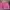 Hand Bag Pink Minimalis photo 4