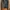 H&M  Black Textured Blazer