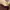 Bottega Veneta Luxury Minimalist Hobo bag Wanita tan brown photo 5