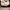 Bottega Veneta Luxury Minimalist Hobo bag Wanita tan brown photo 2