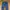 Levi’s 501 Stright Fit photo 3