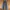 Levi’s 501 Stright Fit photo 2