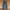 Levi’s 501 Stright Fit