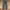 Levi’s 501 Stright Fit photo 1
