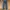 Levi’s 501 Stright Fit