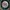 Casual Indie Hat Pria green white photo 3