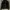 tracktop Fred Perry 2000s photo 1