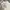 Bamboo Blonde Minimalist Muslim Maxi Dress Wanita White