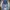 Celana Highwaist Jeans Wanita