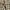 MCM Luxury Casual Scarf Pria multicolor photo 8
