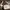 Steve Madden 100% original  photo 1