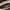 Steve Madden 100% original  photo 2