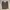 Orlo February Top