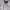 Uniqlo Tech Gray photo 4