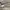 Vintage Grunge Sunglass Pria gray photo 3