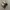 NEW BALANCE 992 X JJJJOUND GREY  photo 4