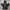 Jacket Motor Armee Francaise Second Vintage Rare Item