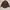 Leopard Shirt Brown Corduroy  photo 1