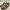 Meindl Traditional Bavarians Shoes photo 3
