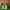 Nike Vomero 5 Green photo 3