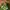 Nike Vomero 5 Green photo 1