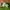 Nike Vomero 5 Green photo 2