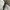 Nike Streetwear Casual Fleece Pria cream photo 8
