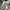 Nike Streetwear Casual Fleece Pria cream photo 7