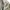 Nike Streetwear Casual Fleece Pria cream photo 4