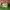 Nike Zoom Bomero 5 Photon Dust photo 4