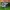 Nike Zoom Vomero 5 White photo 4