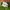 Nike Zoom Vomero 5 White photo 2