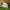 Nike Zoom Vomero 5 White