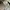 Sweater Acne Studios Emoji Collection Microphone photo 6