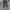 GU ( Global Uniqlo ) Relaxed Ankle Pants