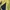Vintage Blazer Wanita yellow photo 5