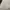 Casual Sweatshirt Pria white photo 4